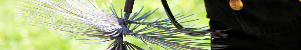 Banner - Lutz Drewanz